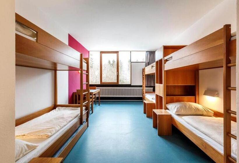 공용 욕실 구비 공동 객실 내의 침대, Jugendherberge Possenhofen