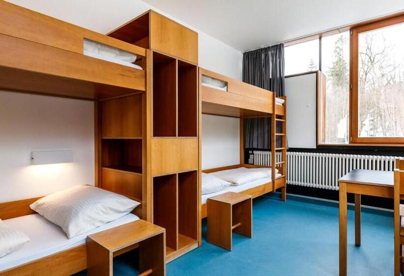 스탠다드 4인용 룸 공용 욕실, Jugendherberge Possenhofen