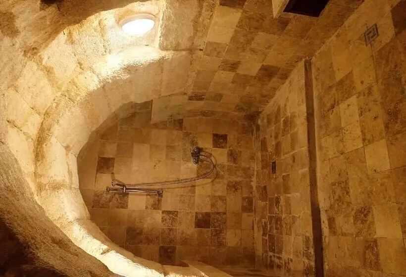 デラックスルーム, Stone Age Mansion