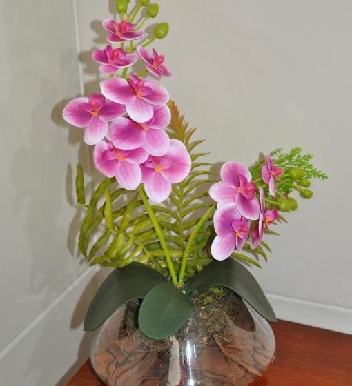 标准三人间, Pousada Suites Bougainville