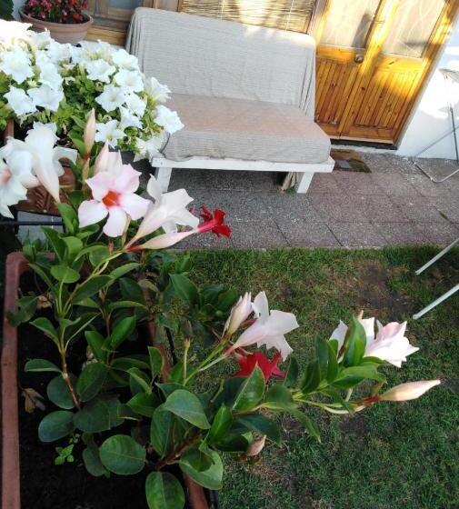 デラックスルーム, Sweet Home