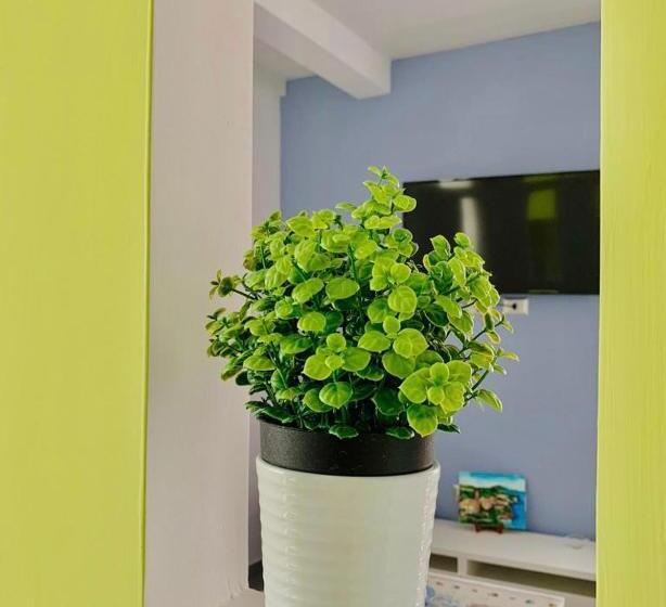 Teraslı 1 Yatak Odalı Daire, B&b Starview