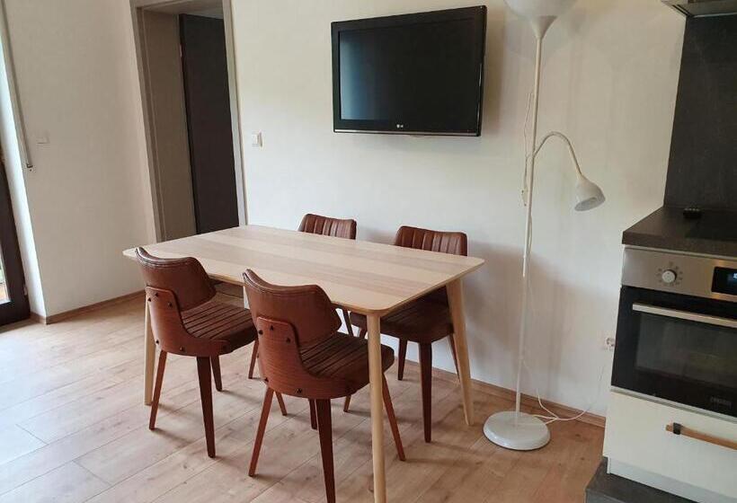 침실 1개 바다 전망 아파트, Römerstube Apartments & Rooms