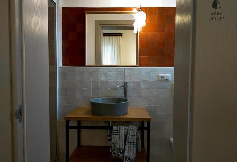 スタンダードルーム, Agro Levità