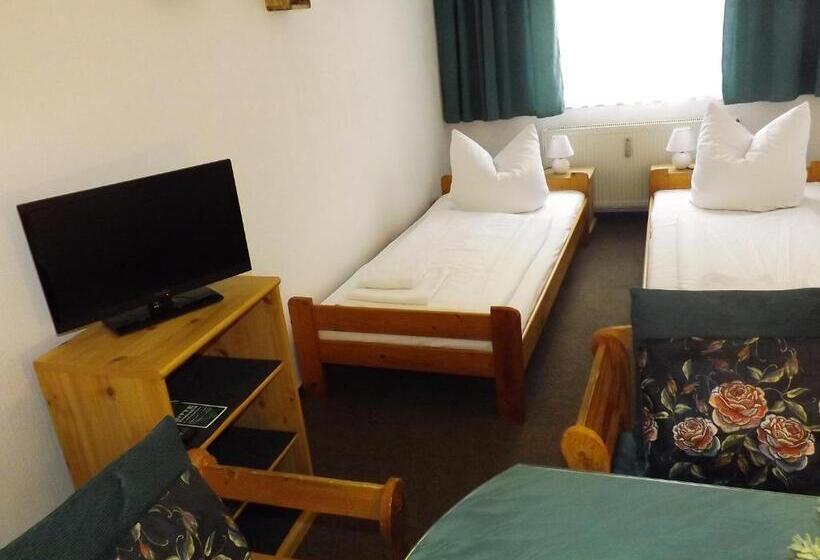 带共用浴室的标准房间, City Pension Bautzen