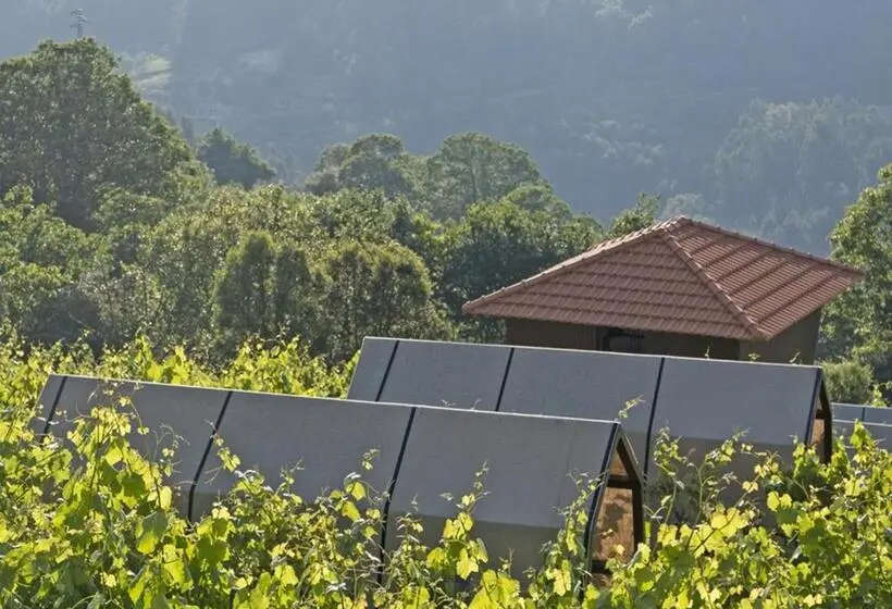 Standard Tent, Cimo Da Vinha Nature Spot