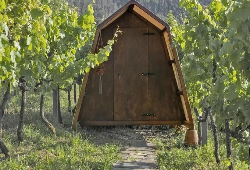 Standard Tent, Cimo Da Vinha Nature Spot