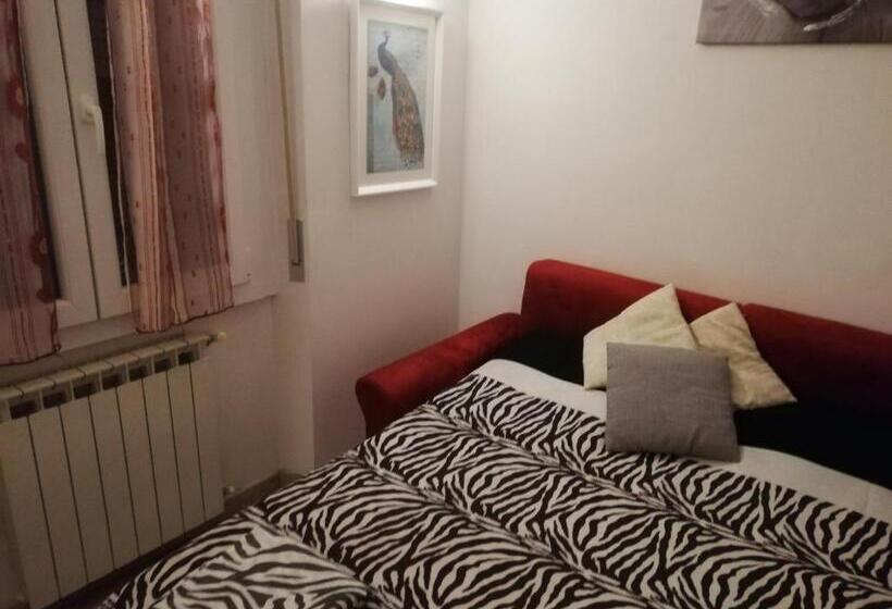 اتاق لوکس, Camere Anna