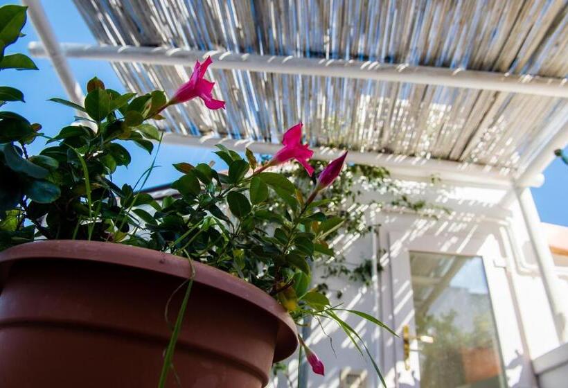 스탠다드 룸, B&b Casa Dorsi
