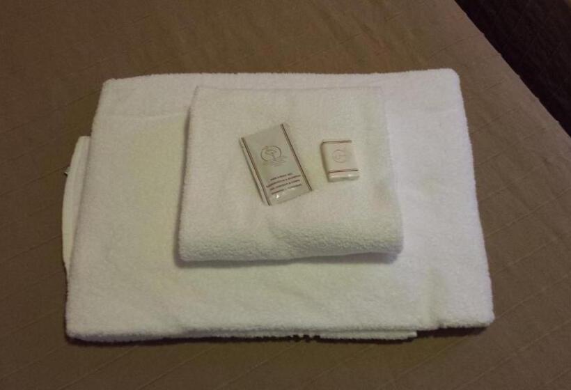 اتاق استاندارد چهارنفره با سرویس بهداشتی مشترک, Mosaic