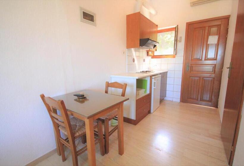 استودیو استاندارد با چشمانداز باغ, Delphi