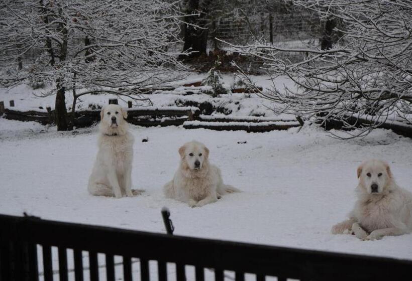חדר סטנדרט עם מיטת קינג, La Grande Jaougue