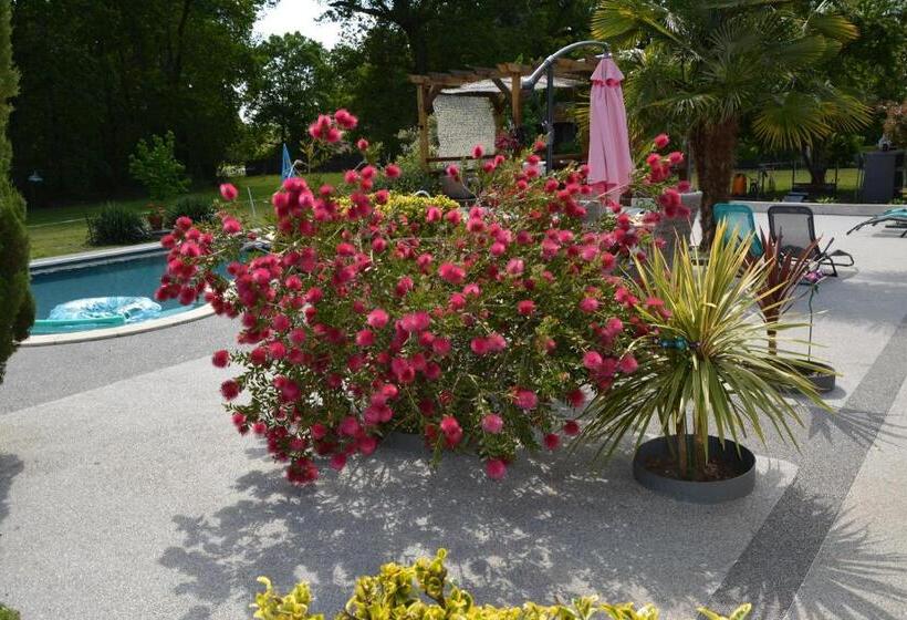 Standard Tent, La Grande Jaougue