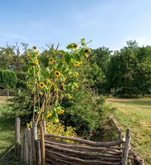 חדר דלוקס, La Grande Jaougue