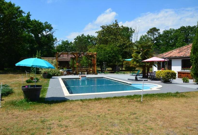 Standard Tent, La Grande Jaougue