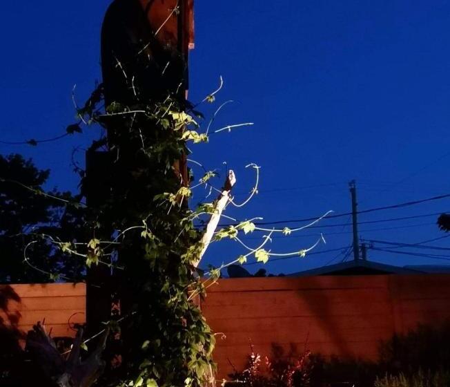 스탠다드 룸, Le Vieux Poulailler édifice Patrimonial New Richmond Gaspesie