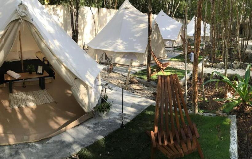 Standard Tent, Bayou