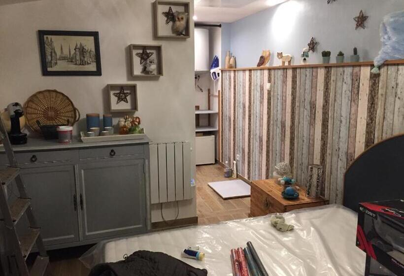 Camera Standard, Grain De Folie