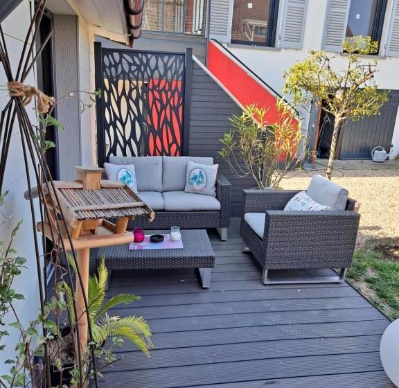 Camera Standard, Grain De Folie