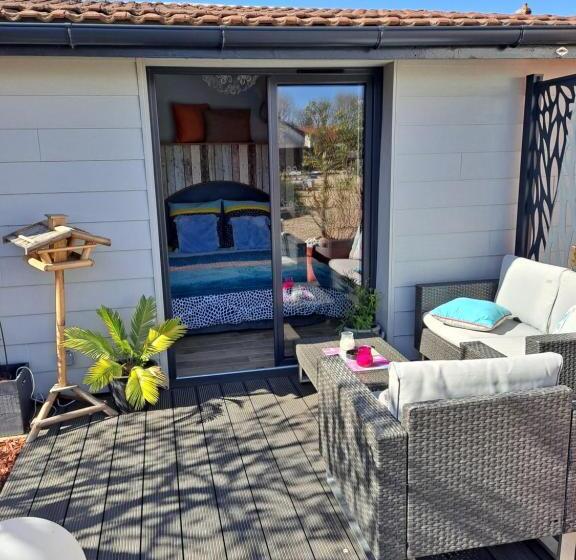 Camera Standard, Grain De Folie