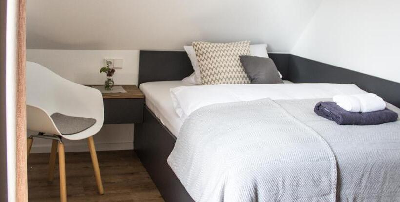 غرفة سوبيريور فردية, Alte Schmiede