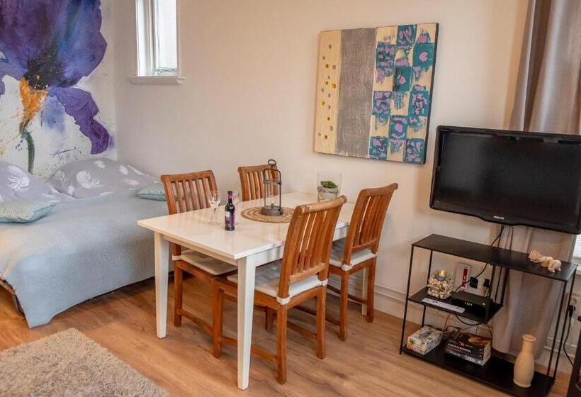 스탠다드 룸, Studio In Rietgedekte Boerderij, Geheel Privé, Hond Vriendelijk