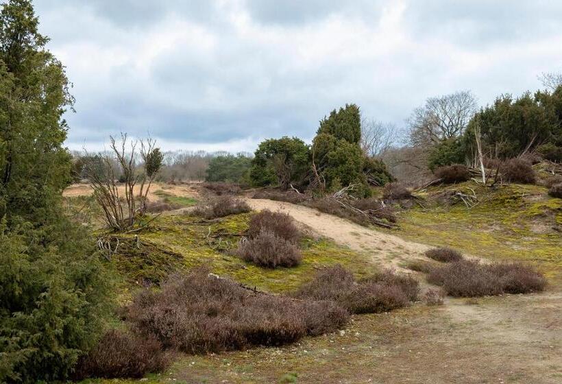 스탠다드 룸, Studio In Rietgedekte Boerderij, Geheel Privé, Hond Vriendelijk