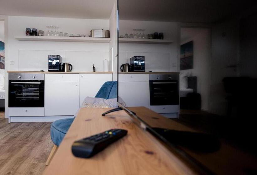 إستوديو قياسى, Argenta Living 16