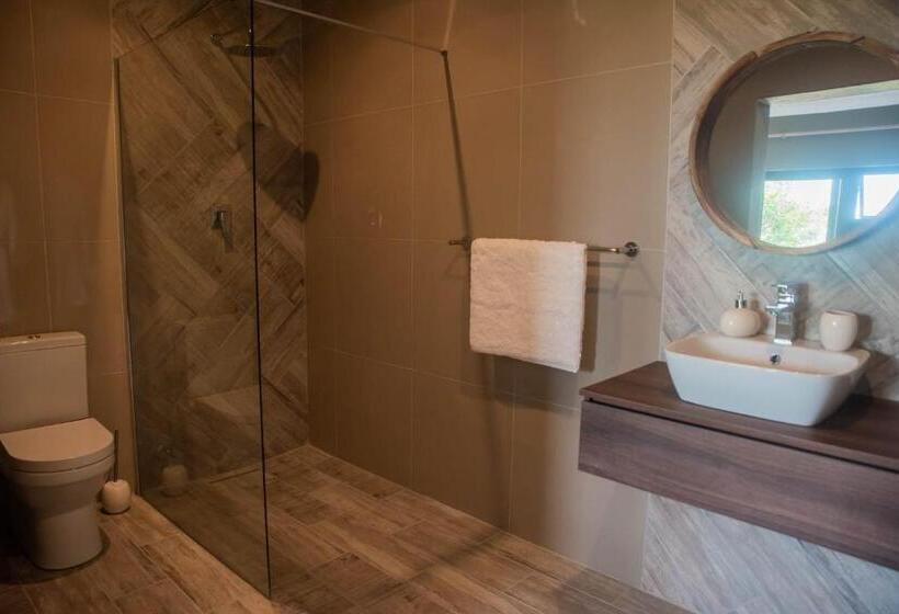 标准间, Forest Hill Wilderness