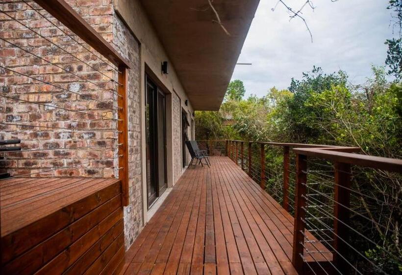 标准间, Forest Hill Wilderness