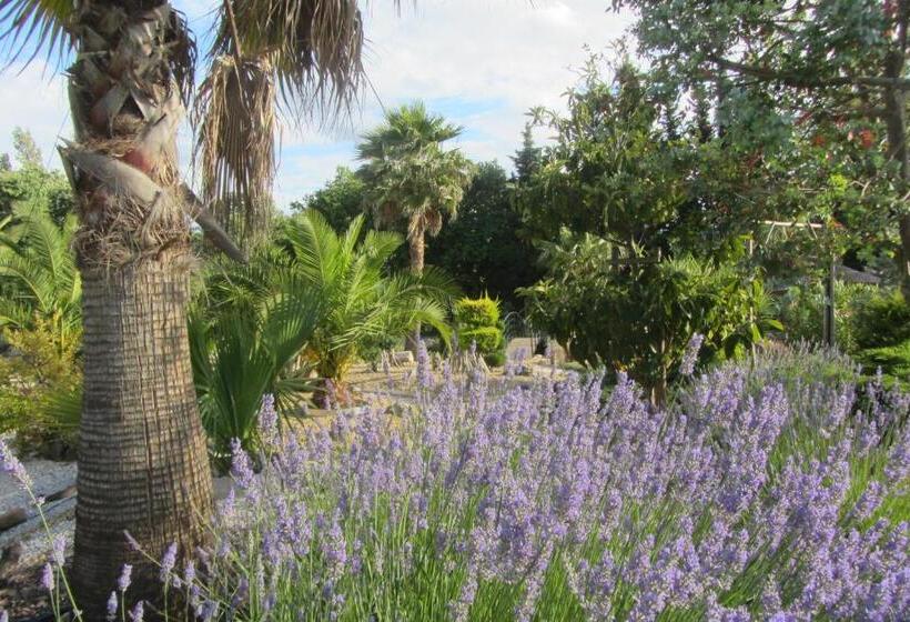 غرفة قياسية مزوَّدة بتراس, La Palmeraie