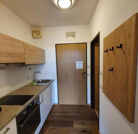 Apartamento 1 Quarto com Vistas, Goisererglück