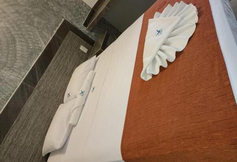 غرفة إقتصادية, Albatros