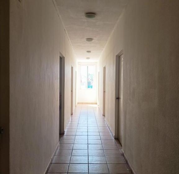 غرفة قياسية, Albatros