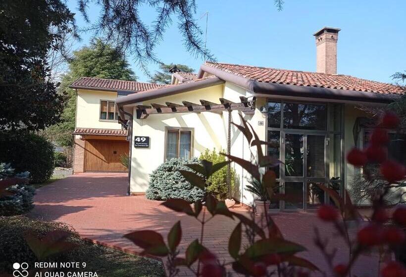 Номер Стандарт, 49 Le Contesse Ide