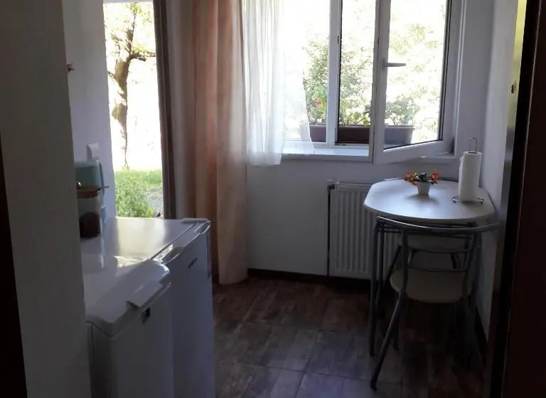 デラックスルーム, Casa Victoria Anina
