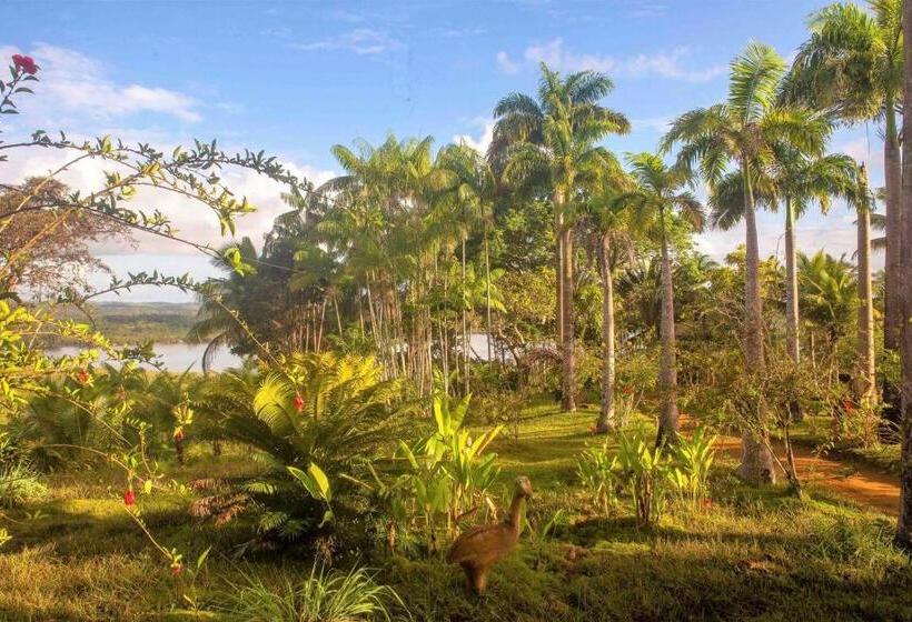 デラックスバンガロー, Art Jungle Eco Lodge