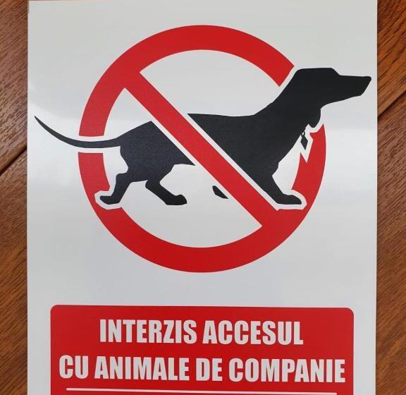 غرفة قياسية, Casa Saga