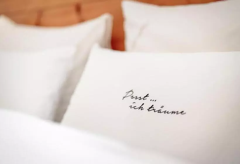 اتاق استاندارد یک نفره, Alpen Comfort Hotel Central