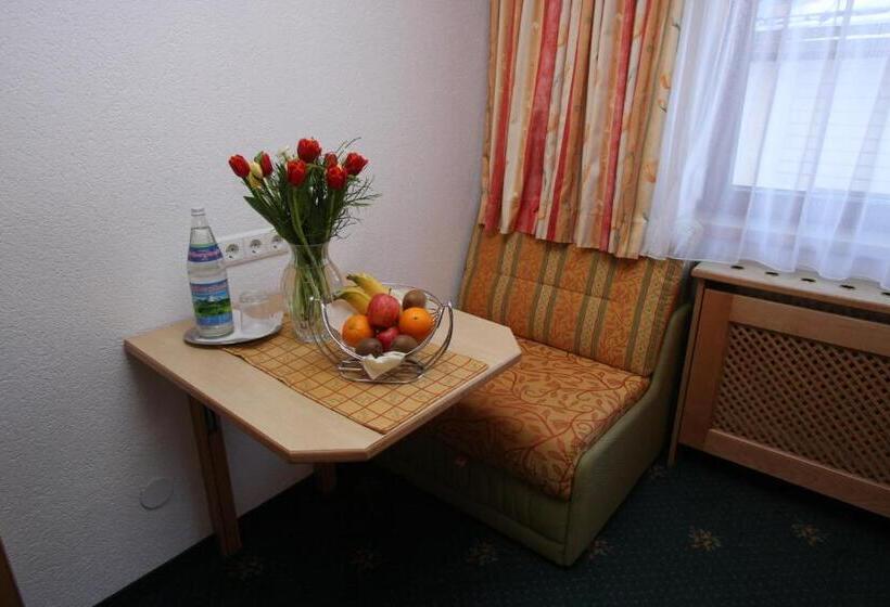 Номер Стандарт Индивидуальный, Alphotel Garni Salner