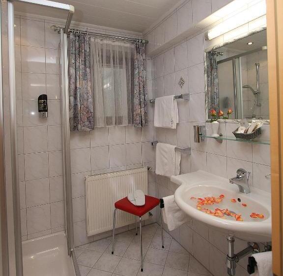 غرفة ديلوكس, Alphotel Garni Salner