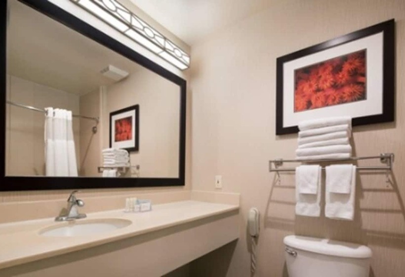 标准工作室, Fairfield Inn & Suites Tucson North/oro Valley