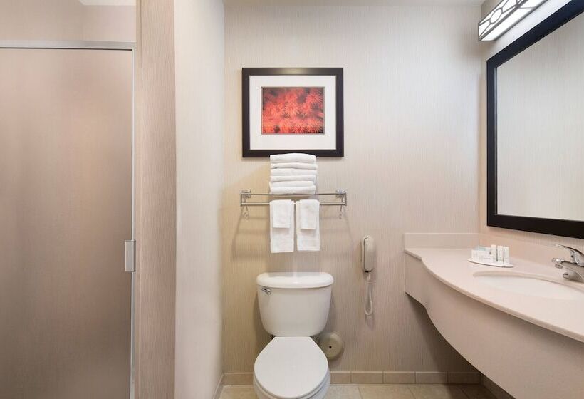 标准工作室, Fairfield Inn & Suites Tucson North/oro Valley