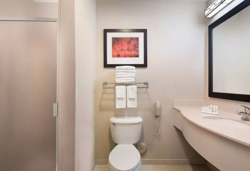 スタンダードスタジオ, Fairfield Inn & Suites Tucson North/oro Valley