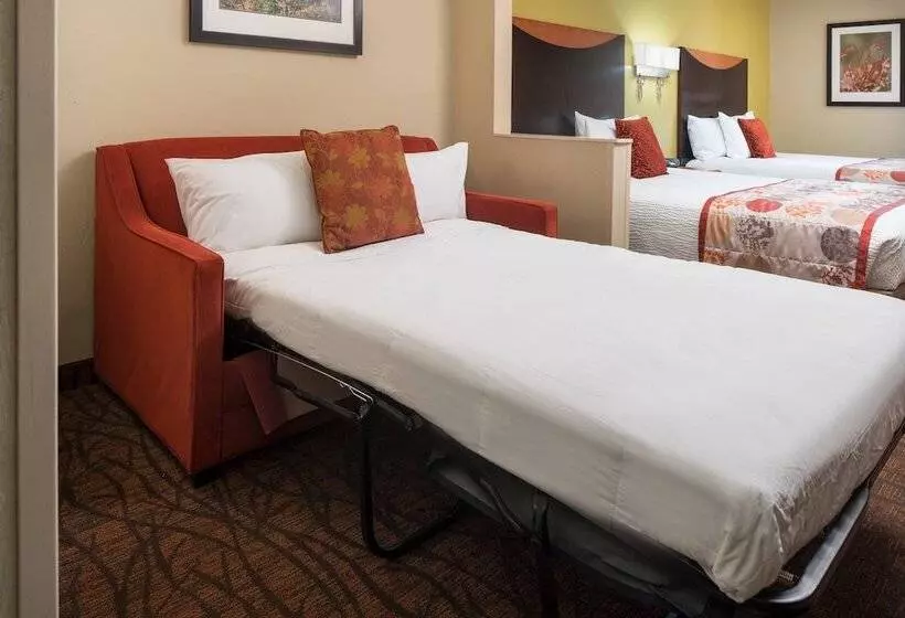 スタンダードスタジオ, Fairfield Inn & Suites Tucson North/oro Valley