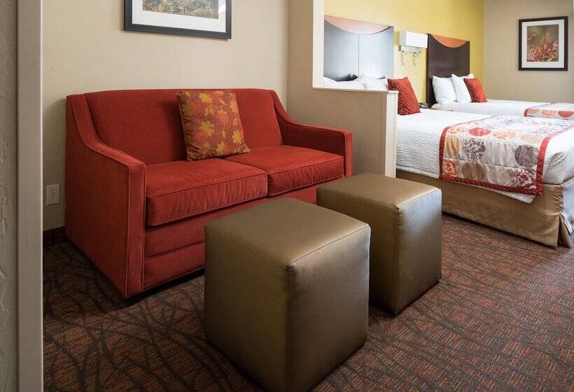 标准工作室, Fairfield Inn & Suites Tucson North/oro Valley