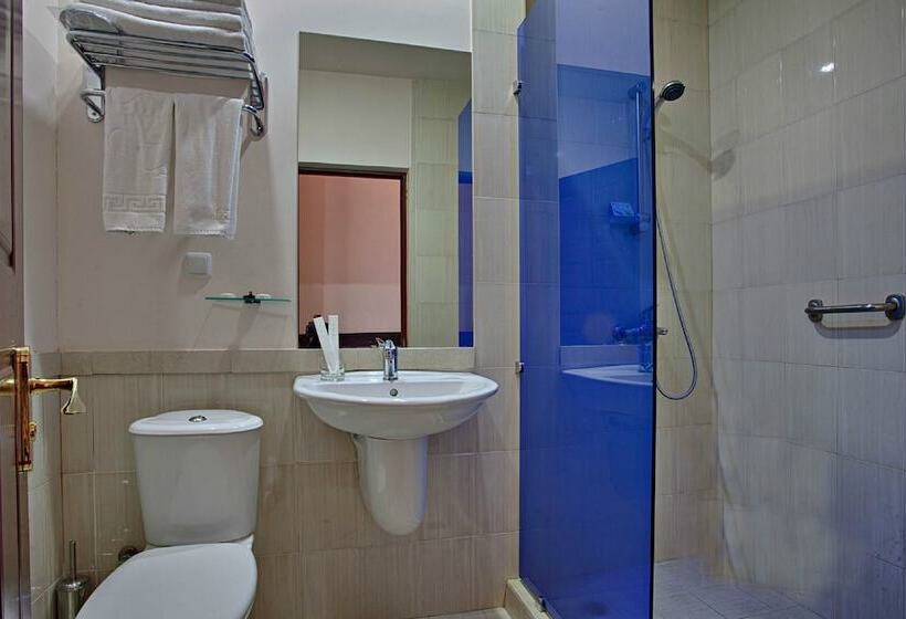 이코노미 룸, Regineh