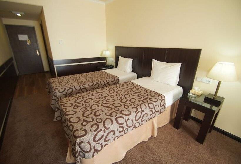 스탠다드 발코니 룸, Regineh