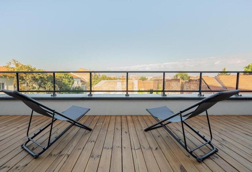 آپارتمان 1 خوابه با تراس, Calvin