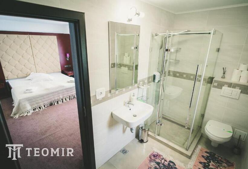 １ベッドルームアパートメント, Pensiunea Teomir